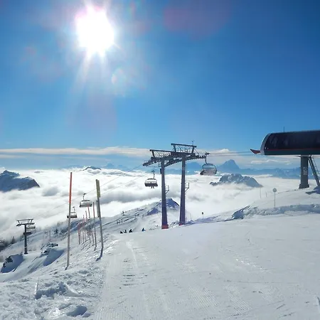 هاوس شيبلاوير