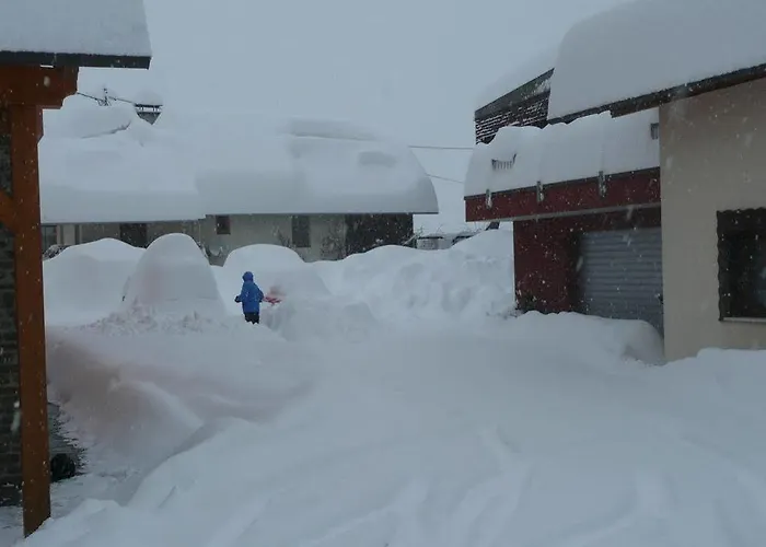 Ferienhaus Haus Scheiblauer